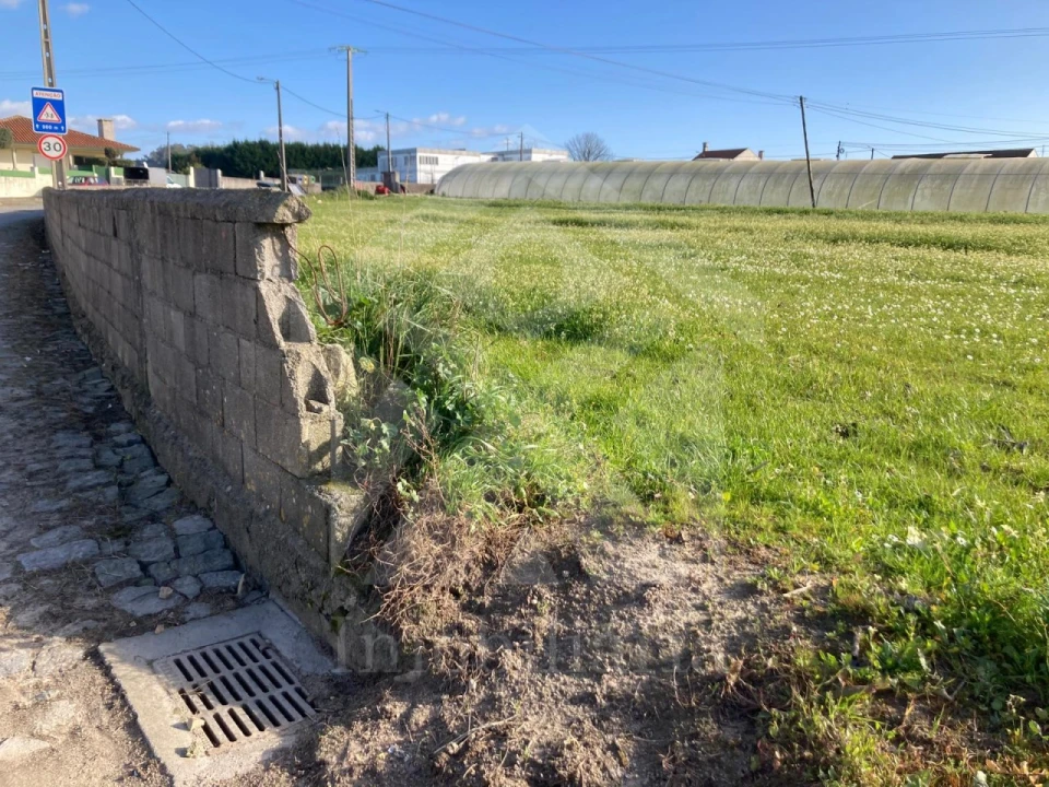 Terreno para Venda em Aver-O-Mar, Amorim e Terroso Foto 3