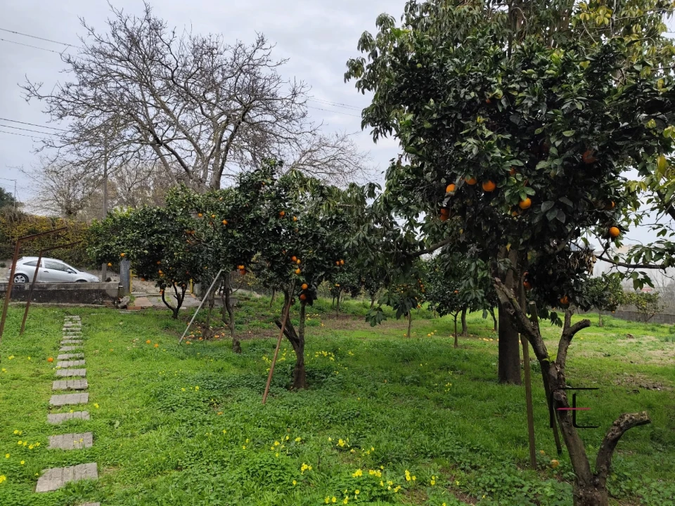 Terreno Agricola ou Rústico para Venda em Custóias, Leça do Balio e Guifões Foto 8