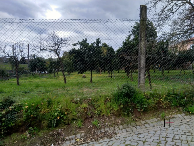 Terreno Agricola ou Rústico para Venda em Custóias, Leça do Balio e Guifões Foto 3