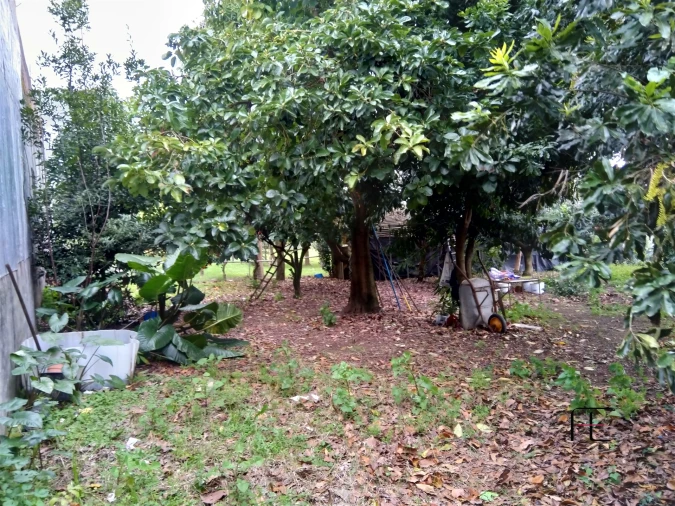 Terreno Agricola ou Rústico para Venda em Custóias, Leça do Balio e Guifões Foto 4