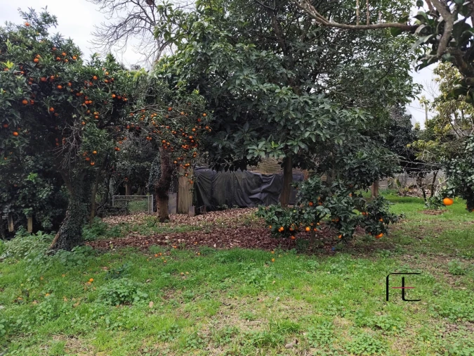Terreno Agricola ou Rústico para Venda em Custóias, Leça do Balio e Guifões Foto 11