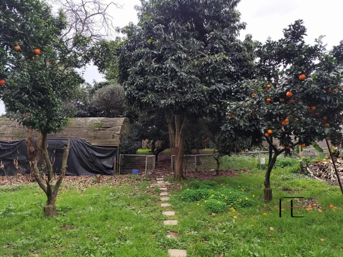 Terreno Agricola ou Rústico para Venda em Custóias, Leça do Balio e Guifões Foto 9