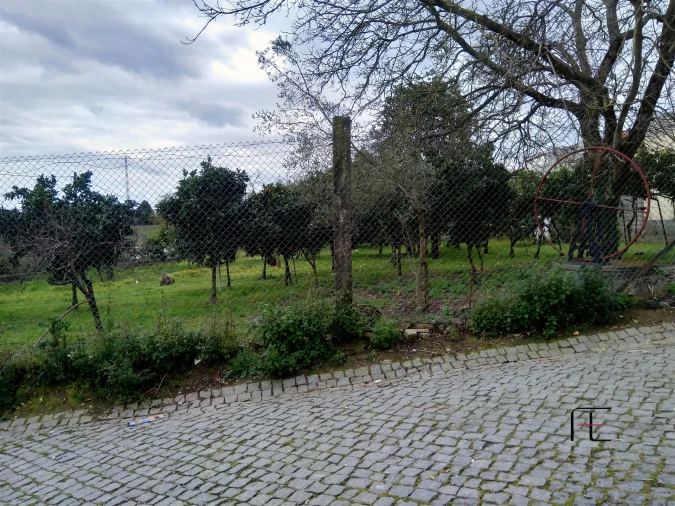 Terreno Agricola ou Rústico para Venda em Custóias, Leça do Balio e Guifões Foto 2