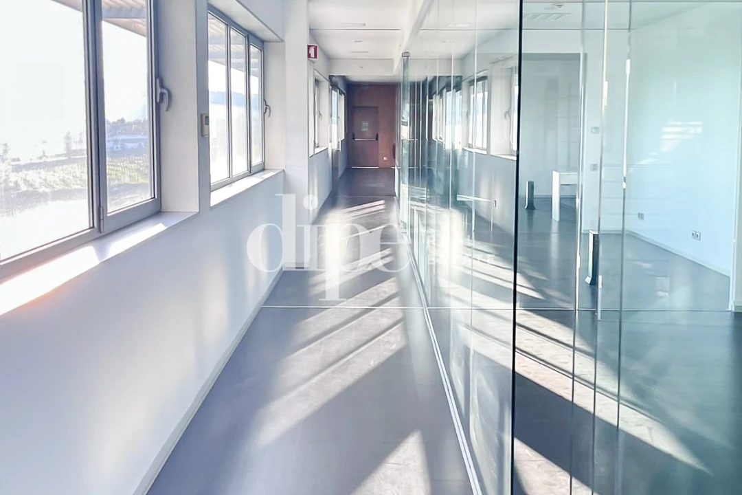 Armazém para Arrendamento em Gondar Foto 8