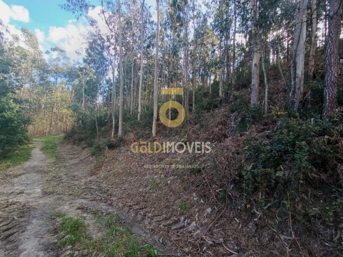 Terreno Agricola ou Rústico para Venda em Galegos Foto 3
