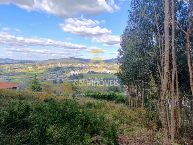 Terreno Agricola ou Rústico para Venda em Galegos Foto 4
