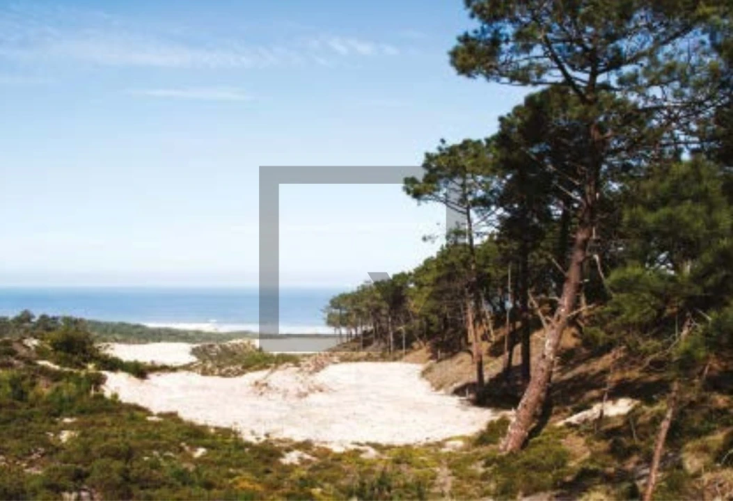 Moradia T3 para Venda em Vau Foto 10