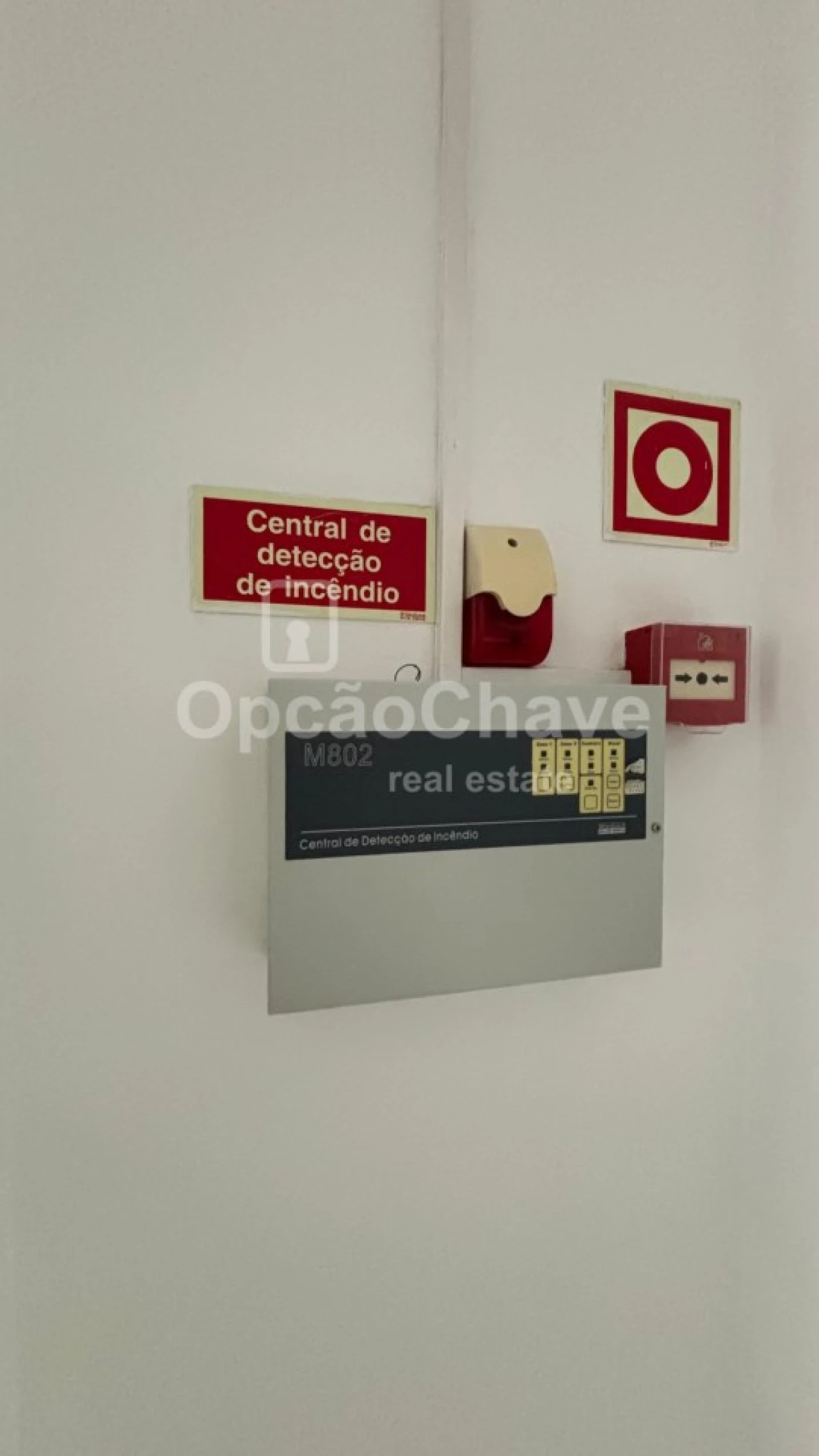 Loja para Arrendamento em Rio de Loba Foto 7