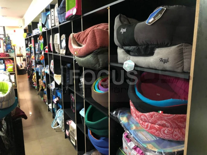 Negócio para Cedência de Quotas em Vagos e Santo António Foto 15