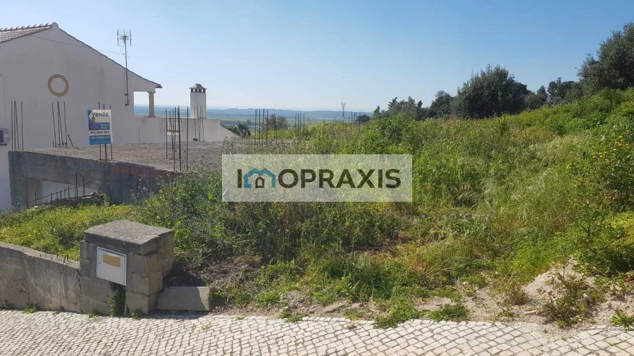 Terreno para Venda em Chamusca e Pinheiro Grande Foto 7