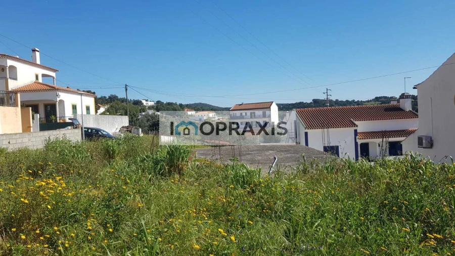 Terreno para Venda em Chamusca e Pinheiro Grande Foto 6