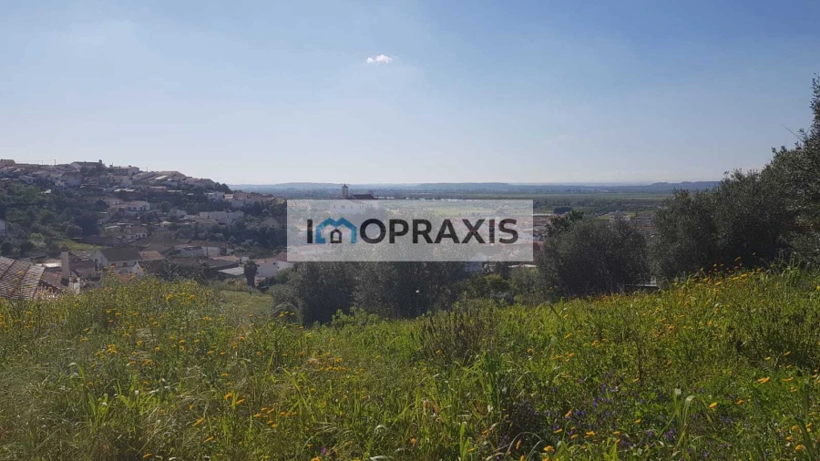 Terreno para Venda em Chamusca e Pinheiro Grande Foto 2