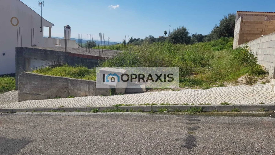 Terreno para Venda em Chamusca e Pinheiro Grande Foto 8