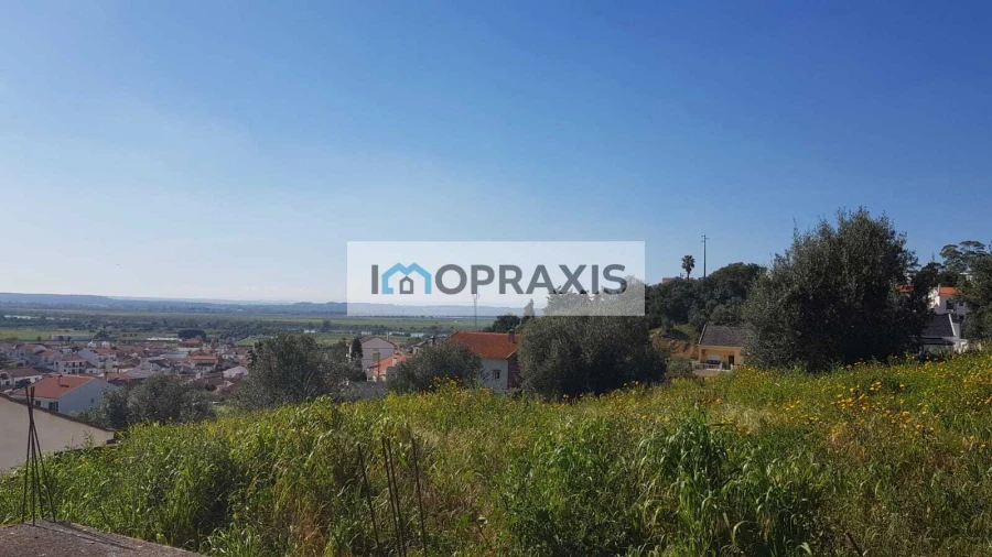 Terreno para Venda em Chamusca e Pinheiro Grande Foto 1