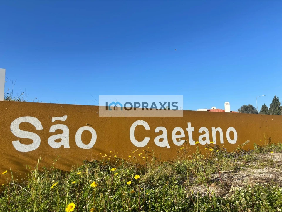 Moradia T0 para Venda em Golegã Foto 6