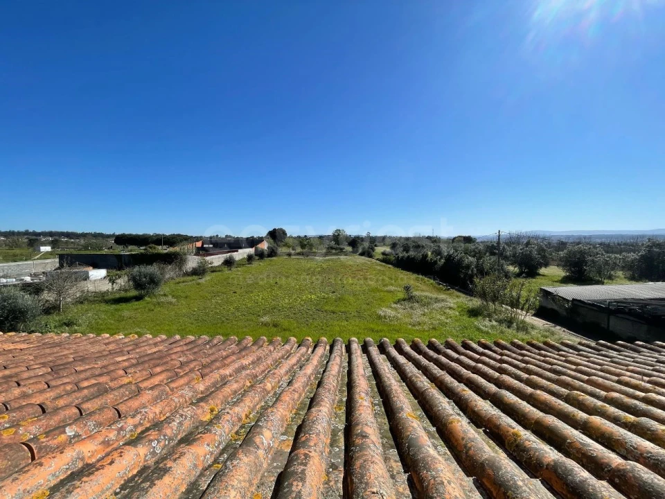 Moradia T5 para Venda em São Martinho de Árvore e Lamarosa Foto 28