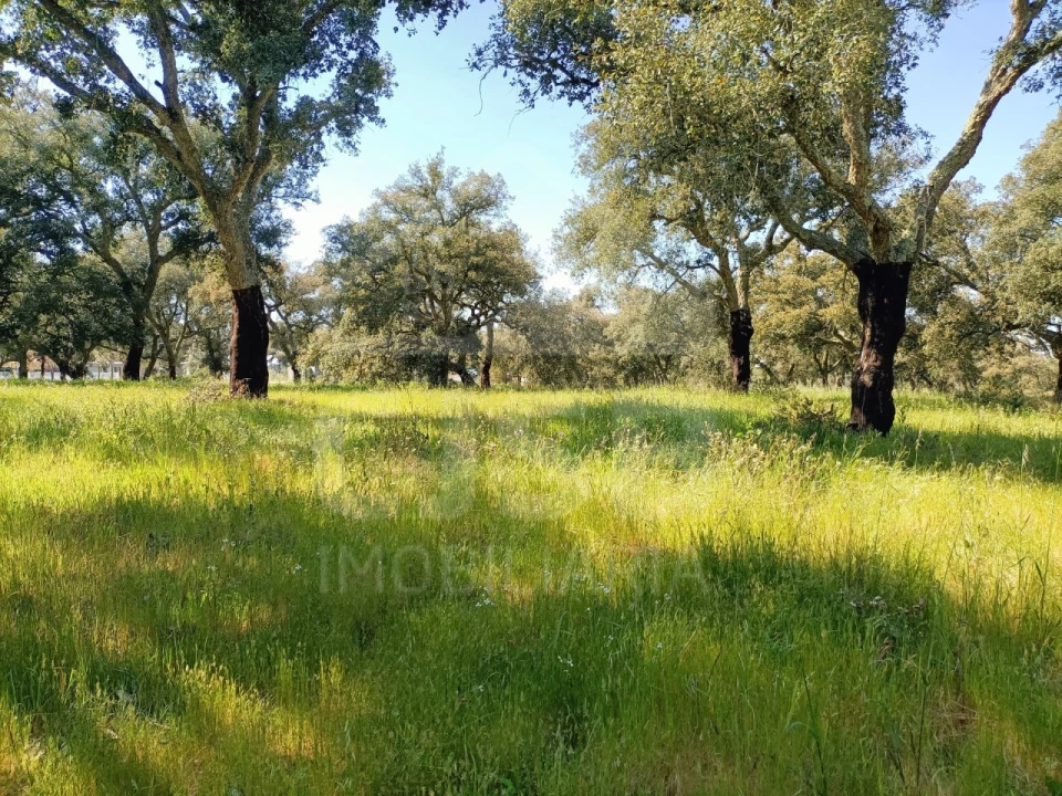 Terreno para Venda em Santo Estêvão Foto 2