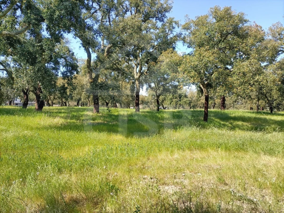 Terreno para Venda em Santo Estêvão Foto 4