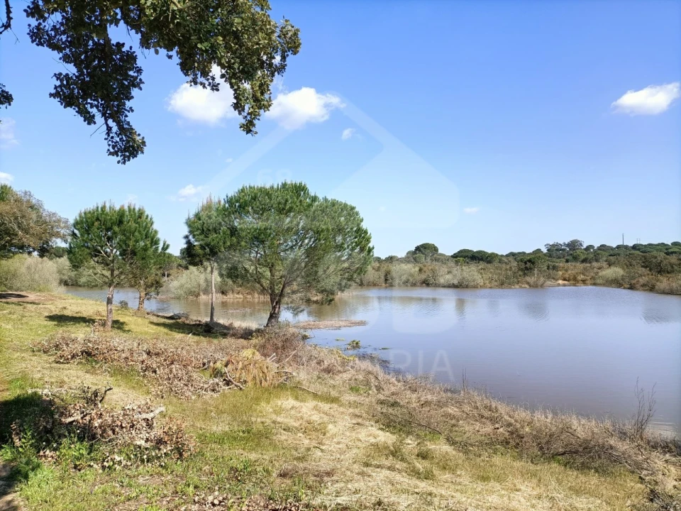 Terreno para Venda em Santo Estêvão Foto 9