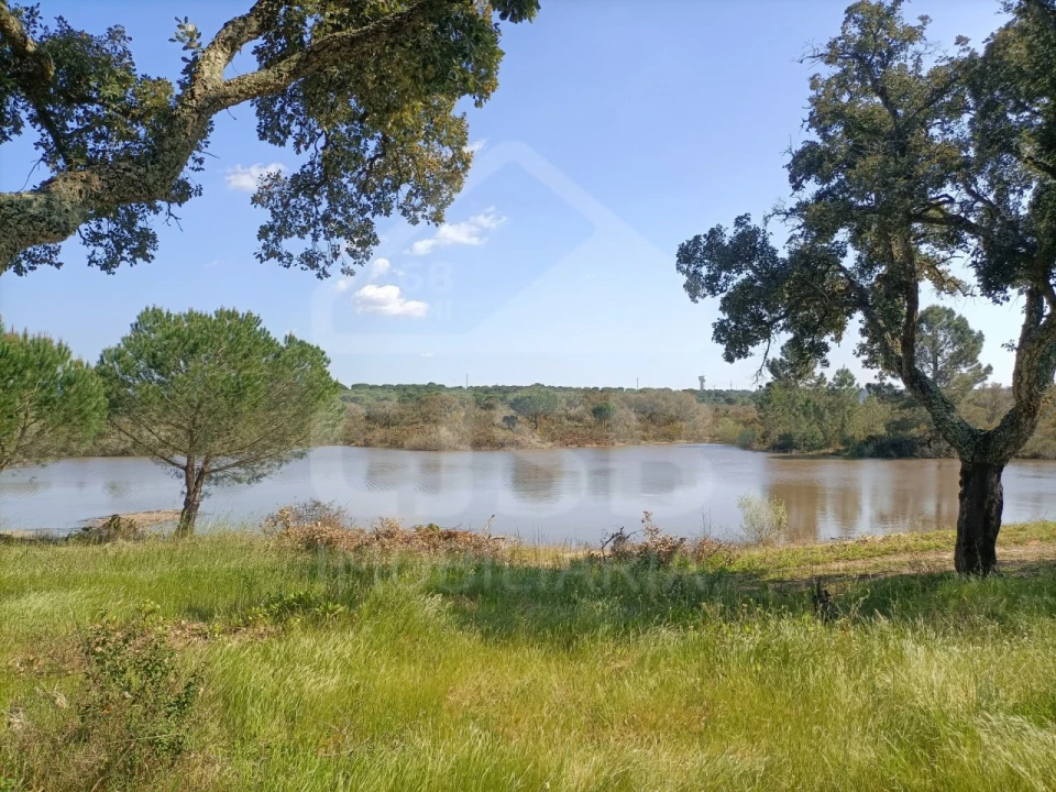 Terreno para Venda em Santo Estêvão Foto 10