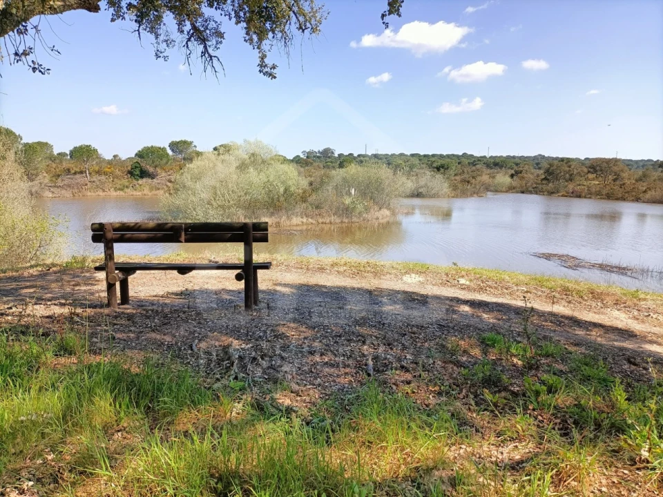 Terreno para Venda em Santo Estêvão Foto 11