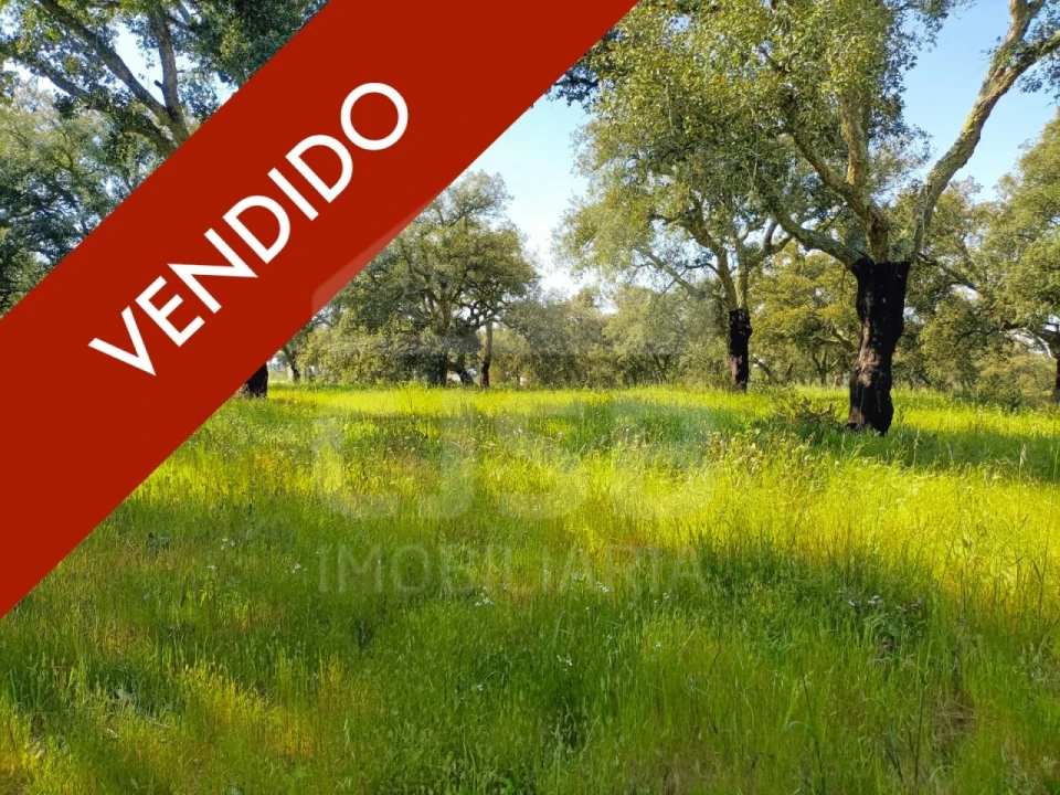 Terreno para Venda em Santo Estêvão Foto 1