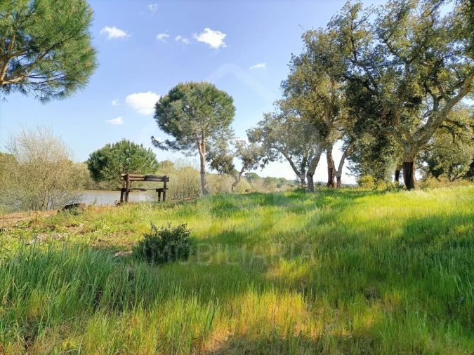 Terreno para Venda em Santo Estêvão Foto 7