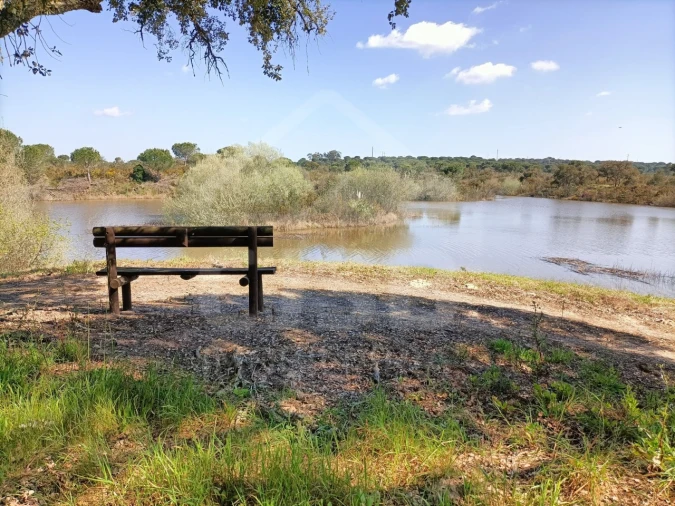 Terreno para Venda em Santo Estêvão Foto 11