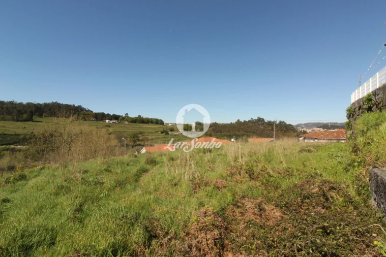 Terreno para Venda em Antime e Silvares (São Clemente) Foto 4