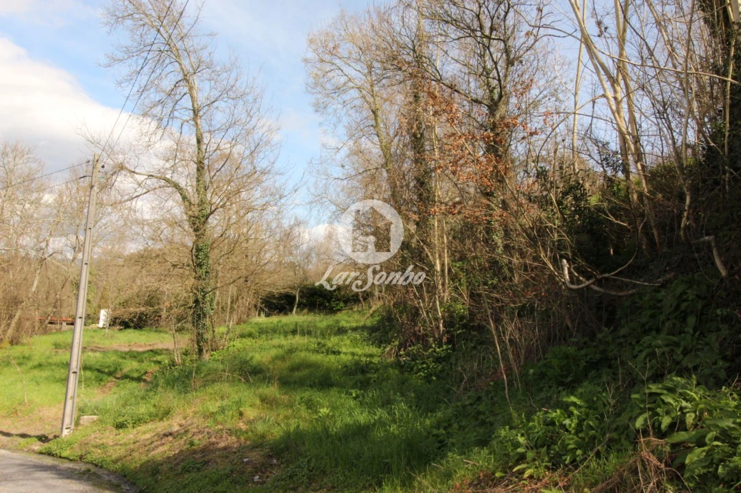 Terreno para Venda em Cepães e Fareja Foto 2