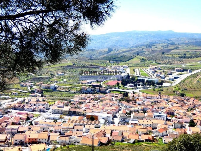 Prédio para Venda em Vila Flor e Nabo Foto 2
