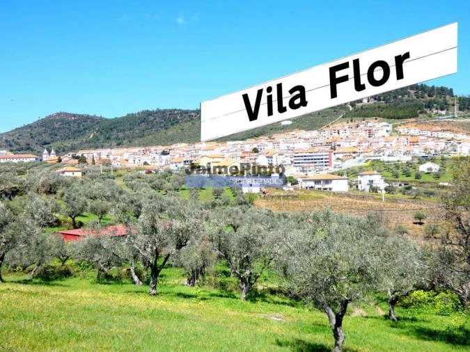 Prédio para Venda em Vila Flor e Nabo Foto 1