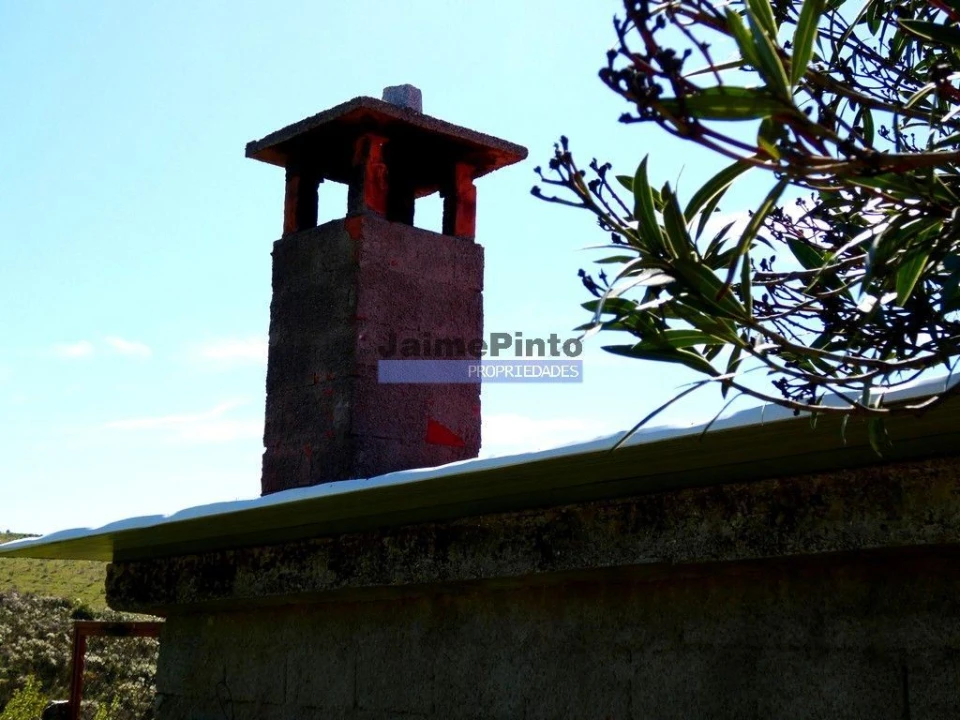 Terreno Agricola ou Rústico para Venda em Vila Flor e Nabo Foto 7