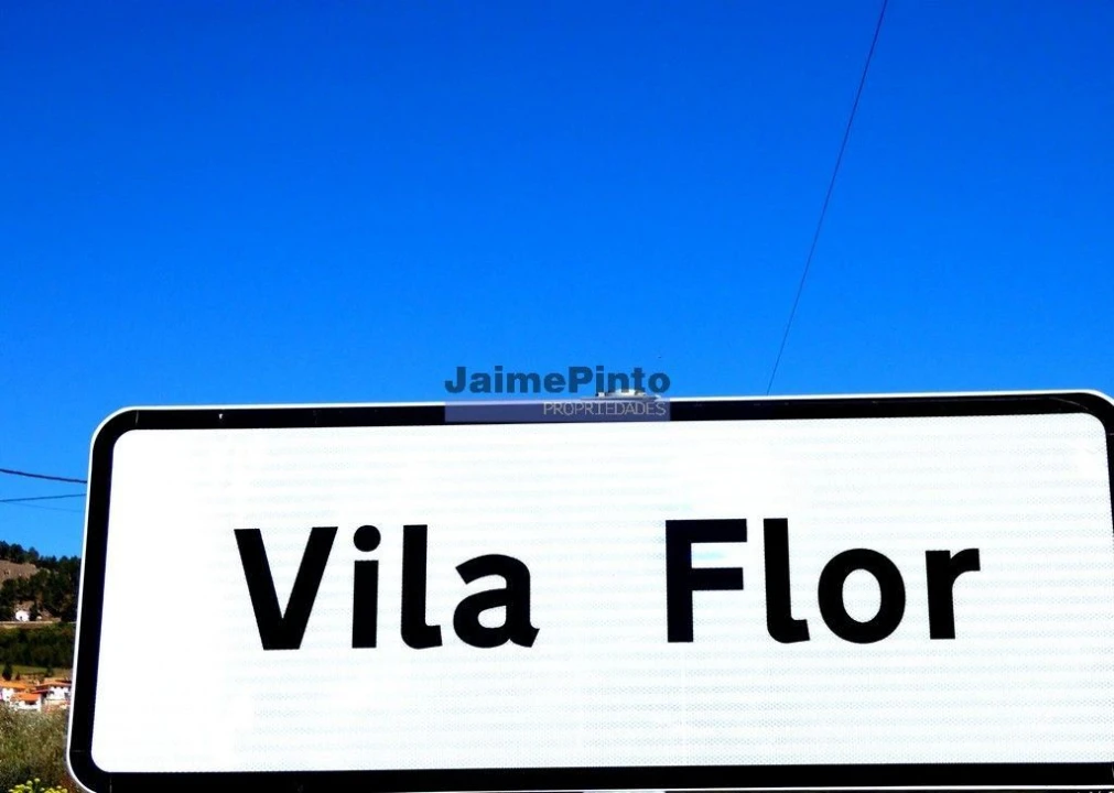 Terreno Agricola ou Rústico para Venda em Vila Flor e Nabo Foto 9