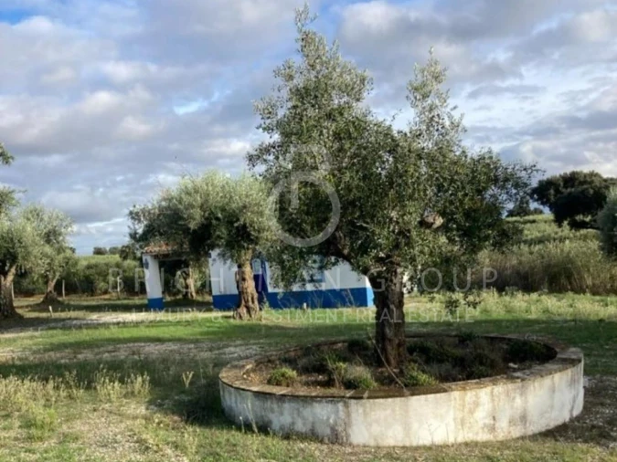 Moradia T5 para Venda em Casa Branca Foto 9