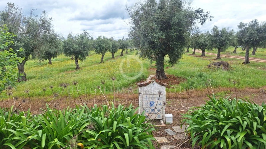 Moradia T5 para Venda em Casa Branca Foto 40