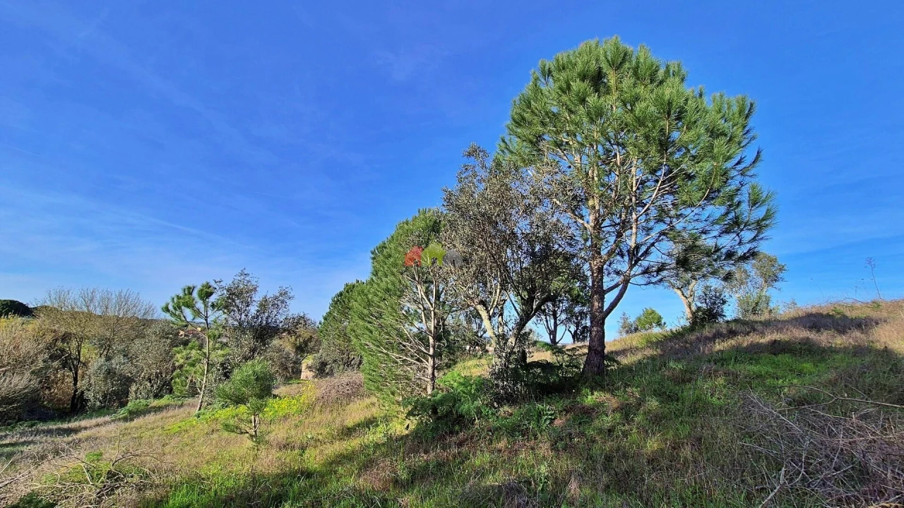 Quinta T2 para Venda em Nossa Senhora da Vila, Nossa Senhora do Bispo e Silveiras Foto 17