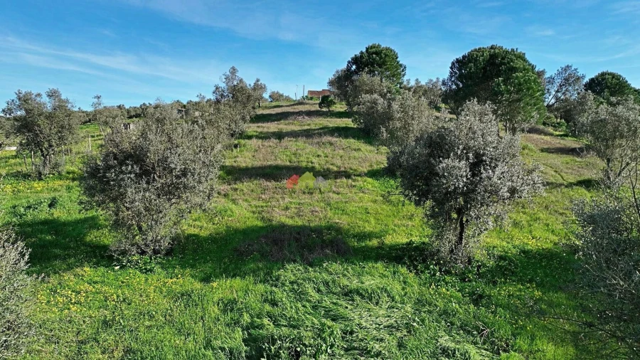Quinta T2 para Venda em Nossa Senhora da Vila, Nossa Senhora do Bispo e Silveiras Foto 9