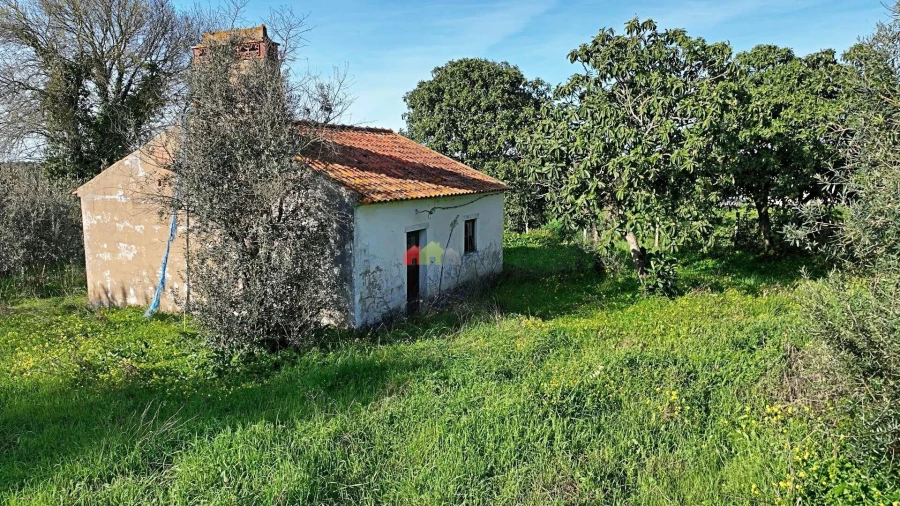 Quinta T2 para Venda em Nossa Senhora da Vila, Nossa Senhora do Bispo e Silveiras