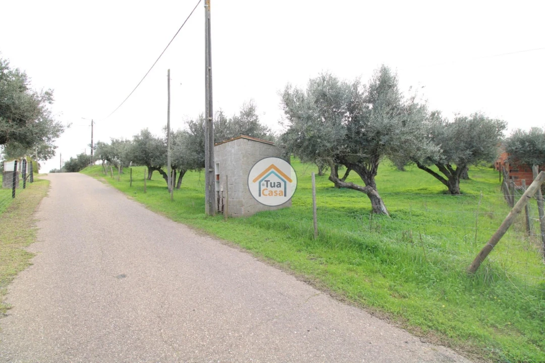 Terreno para Venda em Redondo Foto 15