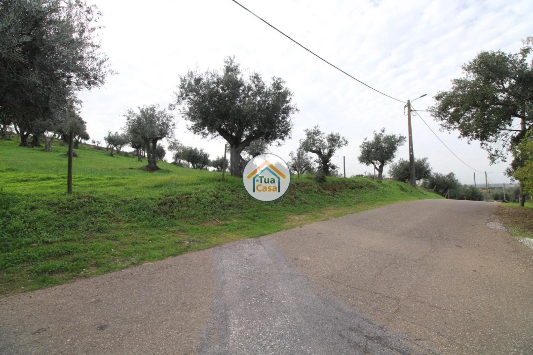 Terreno para Venda em Redondo Foto 13