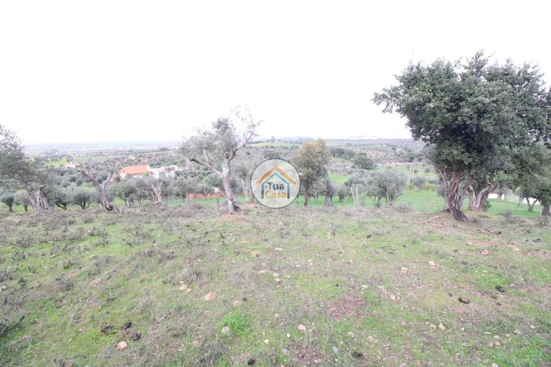 Terreno para Venda em Redondo Foto 9