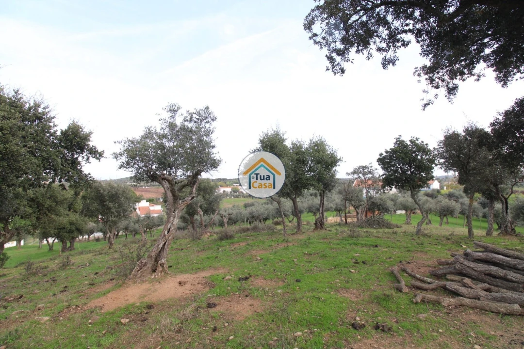 Terreno para Venda em Redondo Foto 11