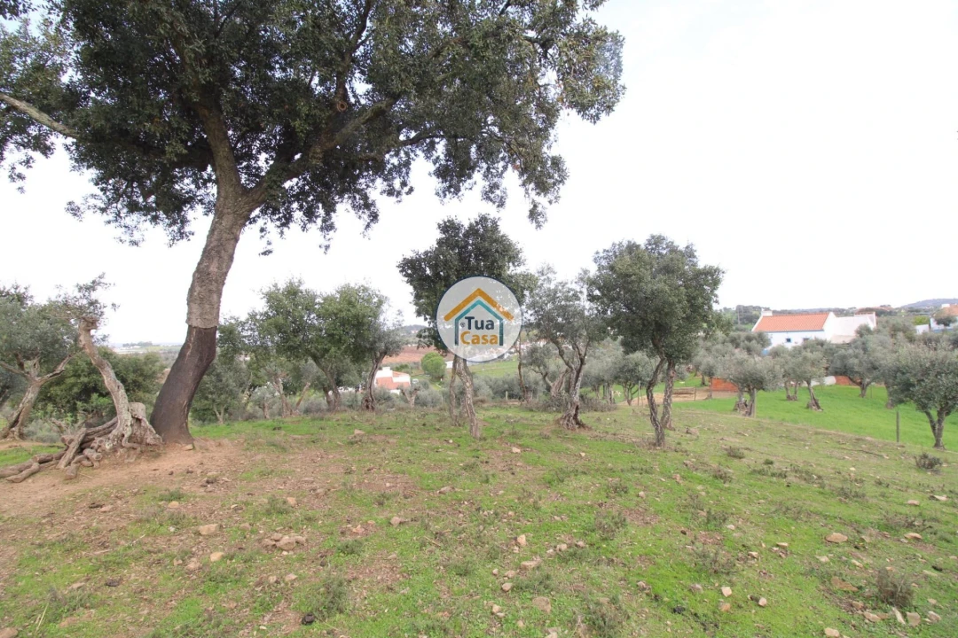 Terreno para Venda em Redondo Foto 12