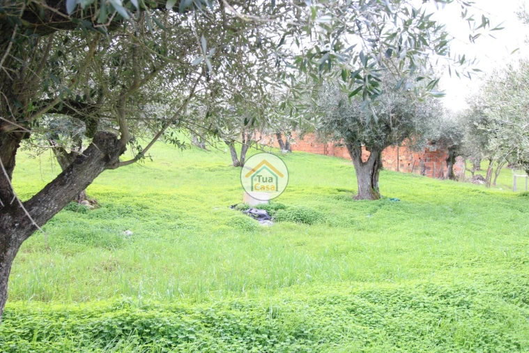 Terreno para Venda em Redondo Foto 14