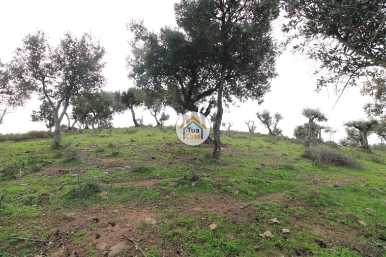 Terreno para Venda em Redondo Foto 6