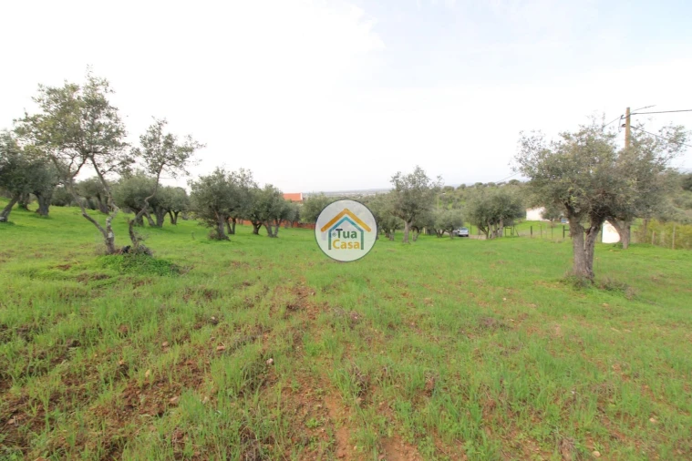 Terreno para Venda em Redondo Foto 4