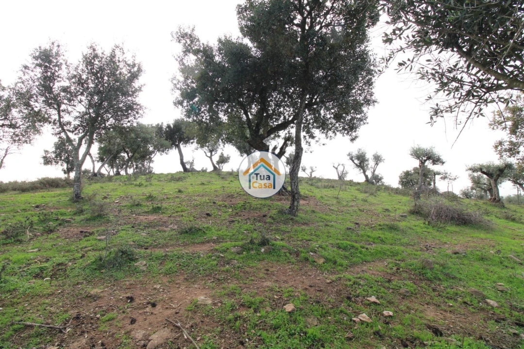 Terreno para Venda em Redondo Foto 6