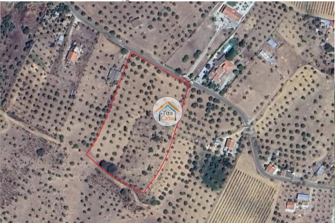 Terreno para Venda em Redondo Foto 16