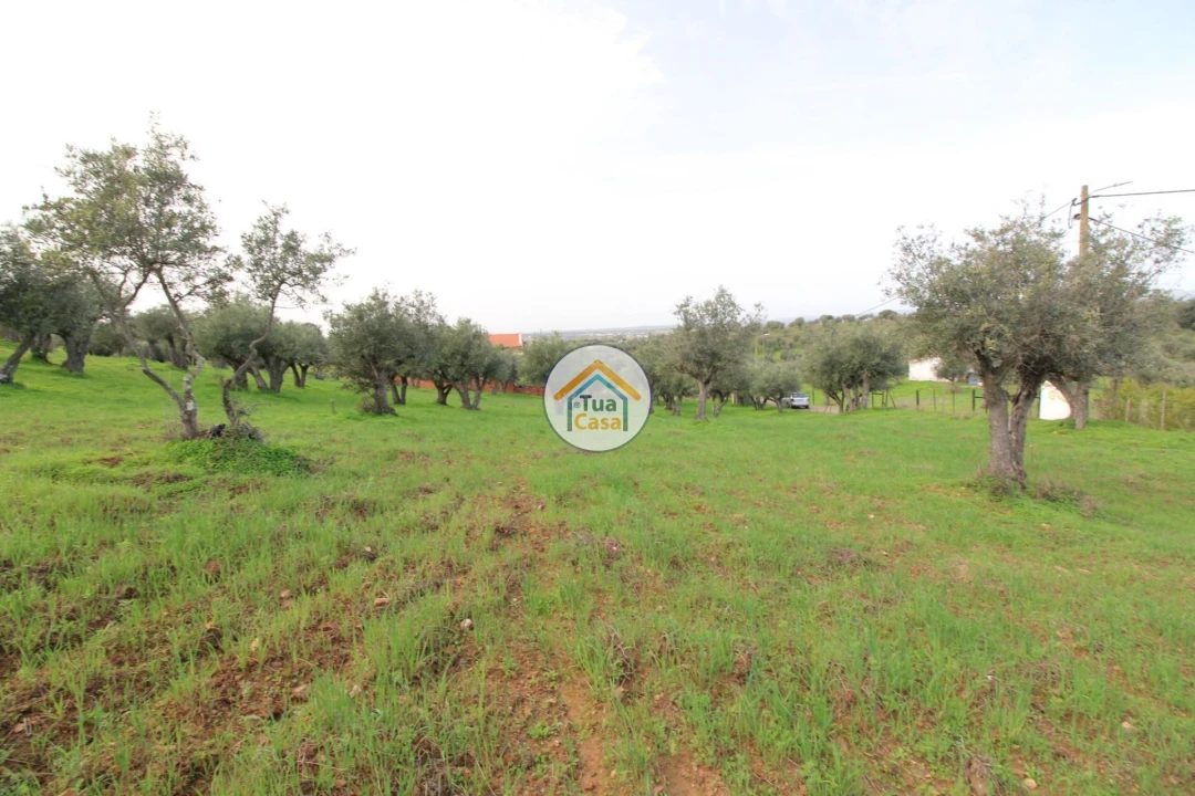 Terreno para Venda em Redondo Foto 4